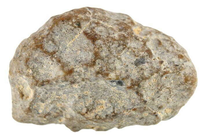 Lunar Meteorite ( g) - NWA #267831